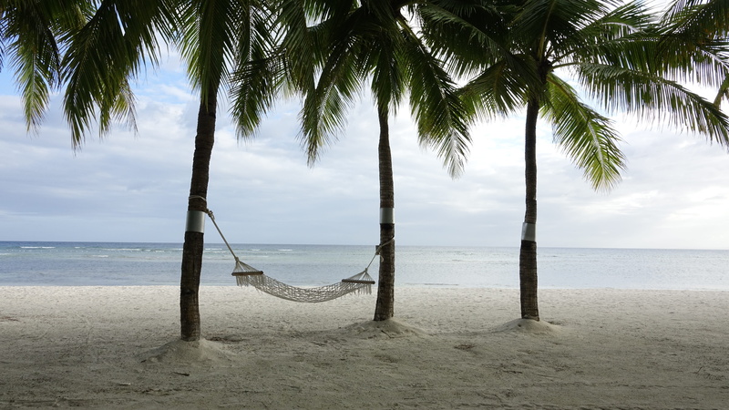 trunk, bohol, sky, vacation, land, tropical climate, sea, landscape, beach, horizon over water, tree trunk, no people, tranquility, sand, horizon, 5K