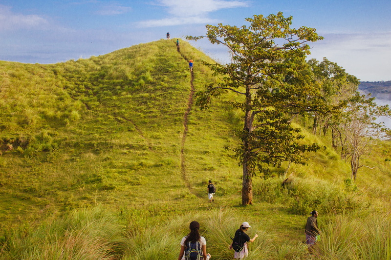 green, mountain, hills, trees, men, leisure activity, adult, tree, blue, activity, environment, non-urban scene, grass, plant, philippines, people, sea of clouds