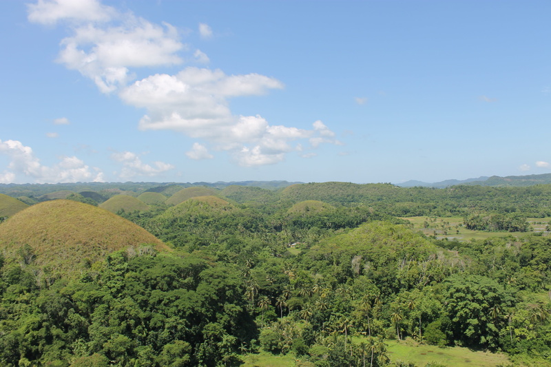 day, 4K, tranquil scene, environment, land, plant, cloud - sky, outdoors, beauty in nature, nature, mountain, non-urban scene, sky, tree, bohol, tranquility