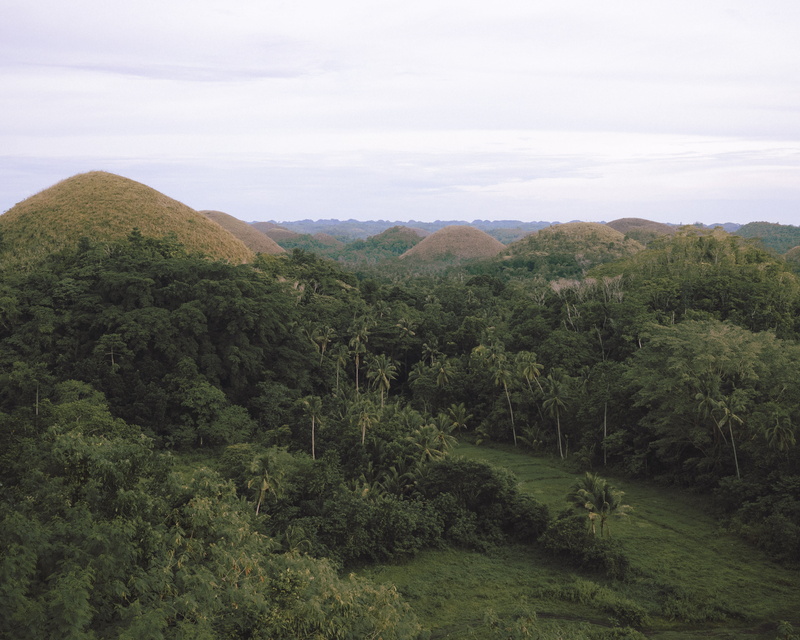 foliage, land, environment, day, growth, drone, tree, mountain, bohol, forest, idyllic, plant, outdoors, green color, no people, alpha, non-urban scene