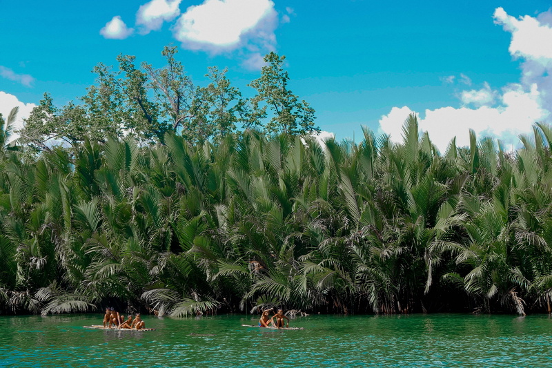 tranquil scene, plant, non-urban scene, landscape, cloud - sky, philippines, 4K, travel, sky, ocean, bohol, outdoors, no people, tree, tranquility, land