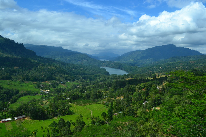 green color, mountain view, tree, plant, tranquil scene, landscape, mountain range, cloud - sky, tranquility, environment, idyllic, day, scenics - nature