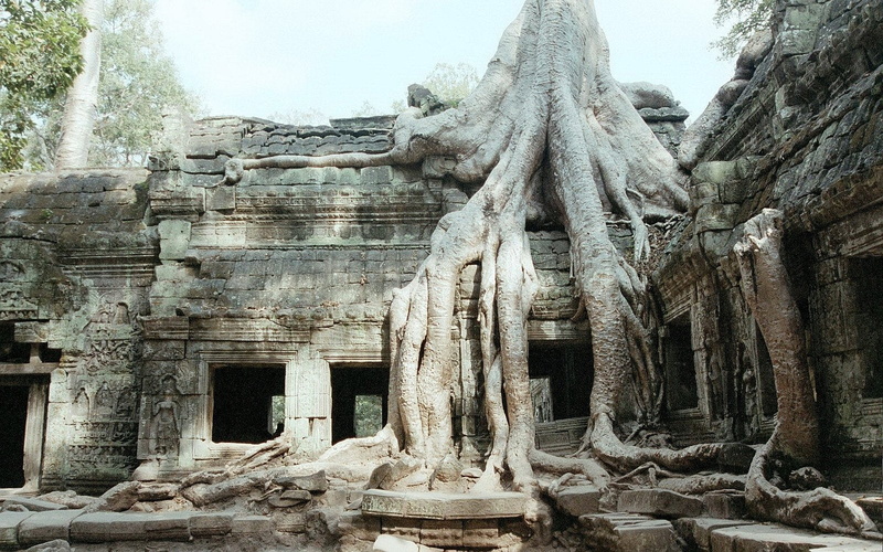 720P, Temples, Ta Prohm