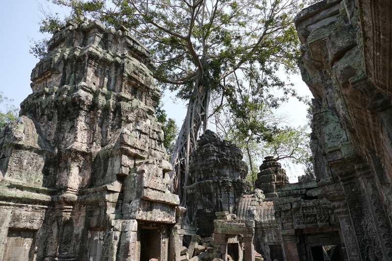architecture, day, ancient, places of interest, angkor, the past, world heritage, deterioration, old ruin, tree root, outdoors, spirituality, ruined, history