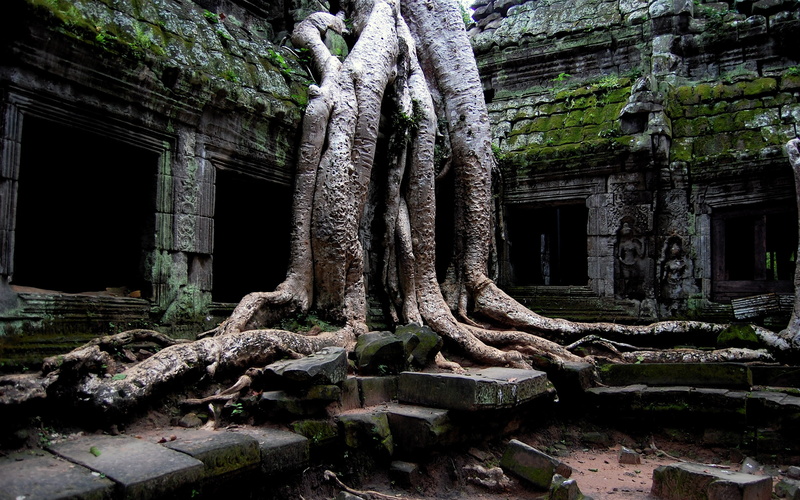 2K, prohm, cambodia, angkor