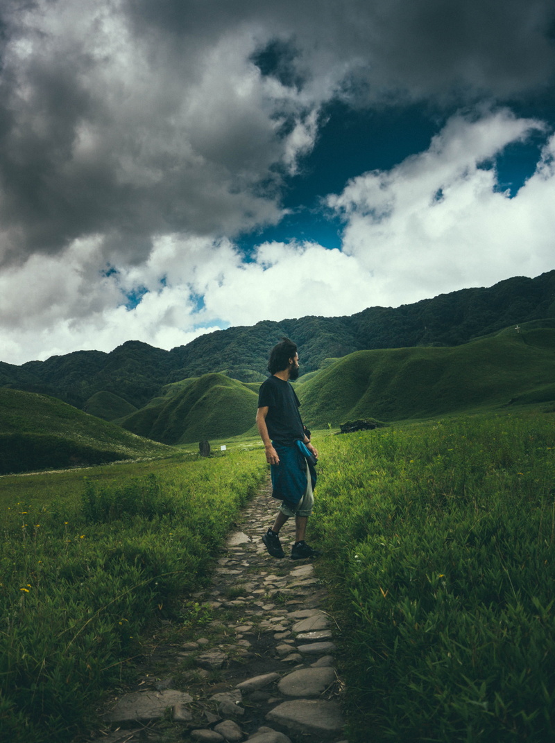 nagaland, landscape, tranquility, one person, dzukou valley, plant, lane, beauty in nature, stones, india, tranquil scene, real people, trees, grass, road