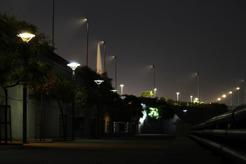 plant, street light, office building exterior, ahmedabad, in a row, architecture, street, transportation, outdoors, night, no people, riverfront, building exterior