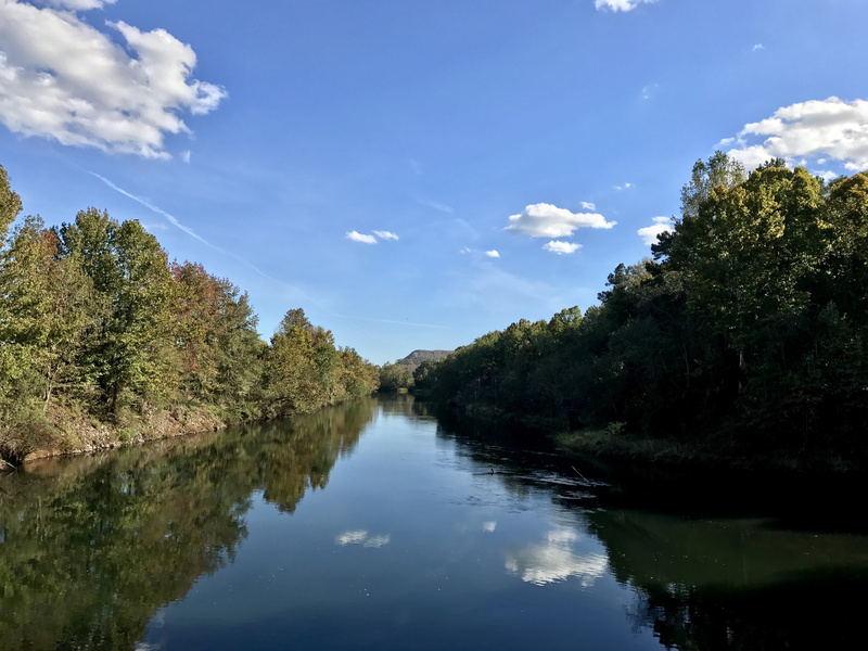 georgia, tree, reflection lake, water, tranquility, no people, non-urban scene, usa, nature, day, sky, tranquil scene, green color, 4K, growth, waterfront