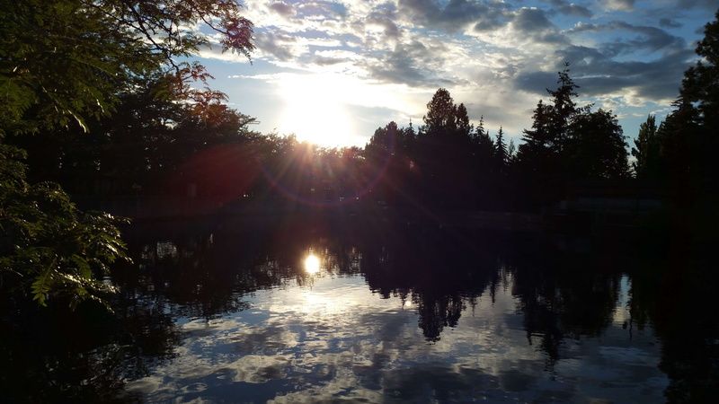 cloud - sky, nature, sunlight, forest, sunbeam, non-urban scene, tranquility, lake, riverfront park, park, scenics - nature, reflection, spokane, water