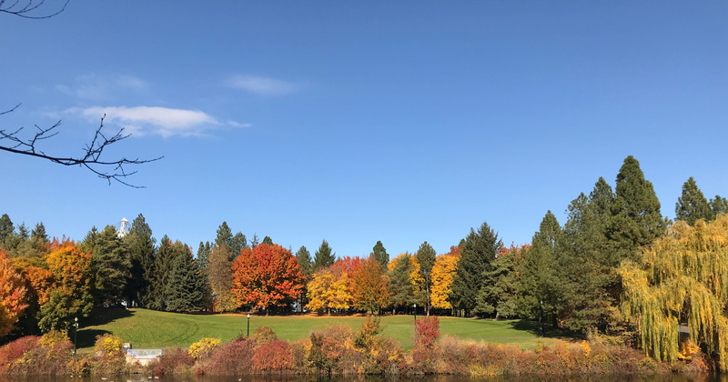 trees, sky, autumn collection, growth, united states, outdoors, tranquility, scenics - nature, nature, river, orange color, tree, park, sunlight, tranquil scene