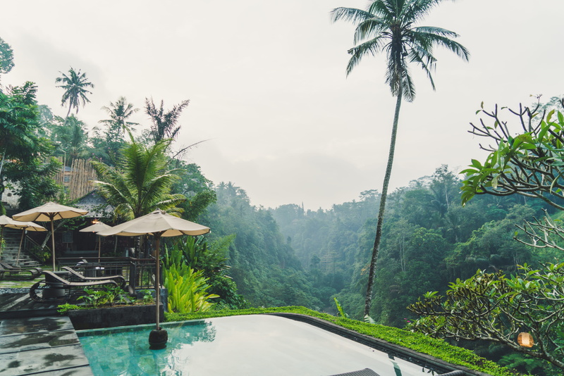 ulun ubud resort, tropical climate, green, architecture, indonesia, 8K, plant, green color, swimming, scenics - nature, built structure, beauty in nature
