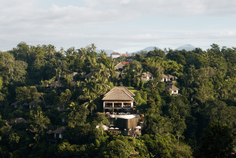 environment, building, luxury hotel, plant, 4K, residential district, travel, house, green color, nature, architecture, ubud, day, scenics - nature, no people