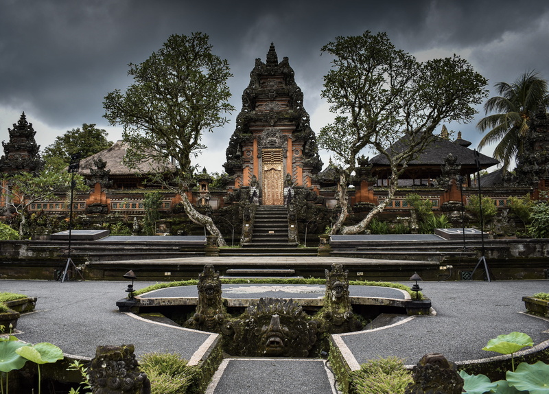 the way, plant, hiker, ubud, tree, human, travel destinations, 5K, people, no people, place of worship, architecture, spirituality, belief, travel, traveler