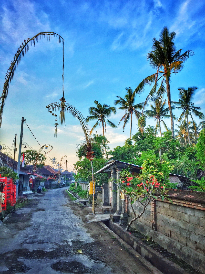 2K, road, village, love, outdoors, architecture, ubud, amazing, blue, built structure, direction, palm trees, plant, coconut palm tree, indonesia, day