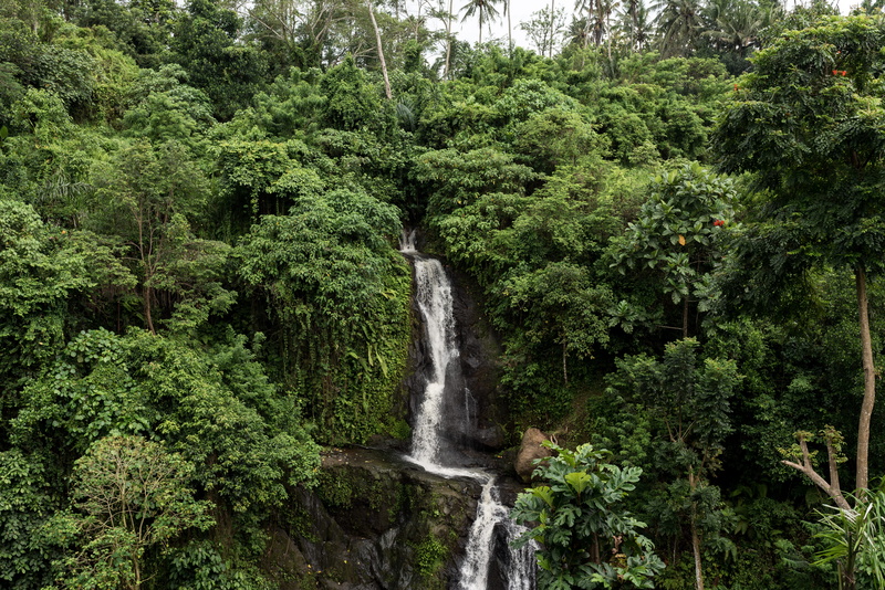 flowing water, 5K, water, palmtrees, long exposure, jungel, no people, beauty in nature, falling water, environment, tree, foliage, indonesia, flowing