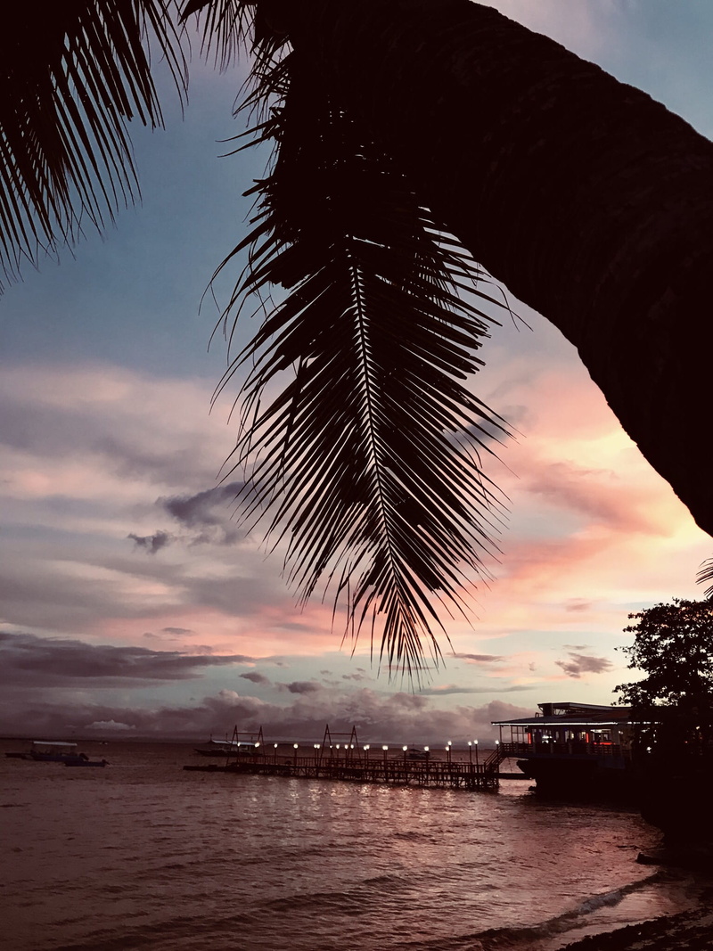 water, tranquility, beach, land, cebu city, island, sea, tree, plant, beauty in nature, nautical vessel, tropical climate, summervibes, pastel, philippines