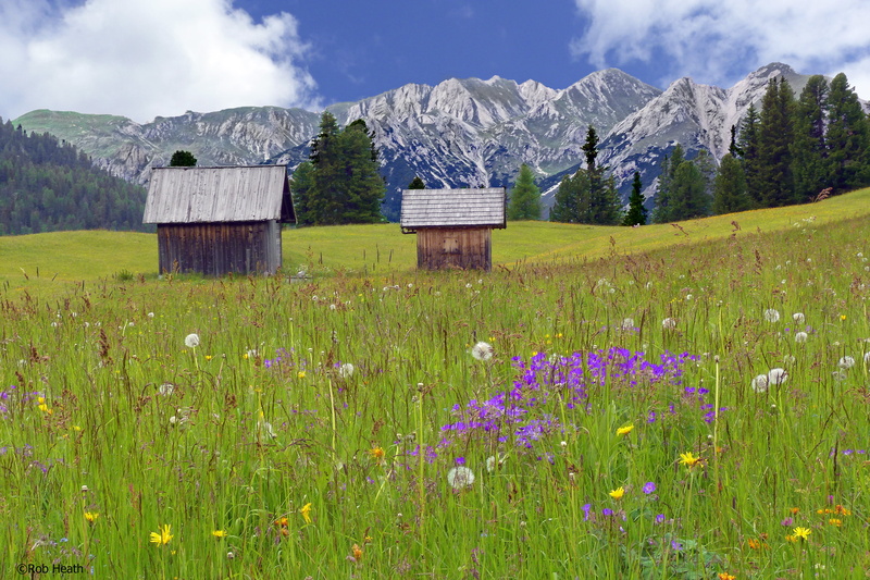 Piazza, grass, brown, sheds, ridge, alps, dolomite, mountains, panorama, view, Italy, vista, snowy mountain, plateau, field, grassland, alpine meadow, overlooking