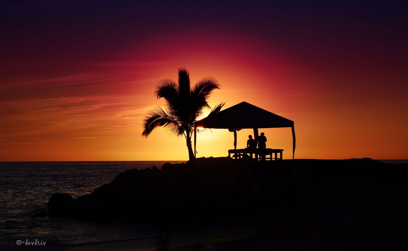 two, outdoors, scenics - nature, Scenery, Scene, photography, tree, Summertime, water, tropical climate, idyllic, Sunset, beauty in nature, 2K, horizon over water