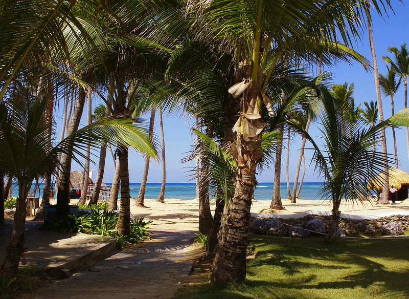 coastline, land, sea, vacations, travel, trunk, idleness, sunlight, tourist Resort, sun, travel Destinations, no people, tropics, outdoors, shore, growth