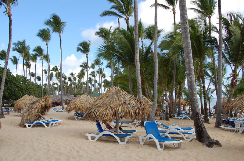 sand, coconut palm tree, palm tree, plant, growth, 1080P, tree trunk, tropical climate, tranquility, dominican republic, pool, seat, nature, palm leaf