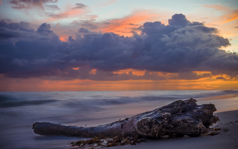 puntacana, clouds, sky, cloud - sky, horizon over water, idyllic, nature, no people, 5K, tranquility, land, driftwood, tranquil scene, seascape, outdoors
