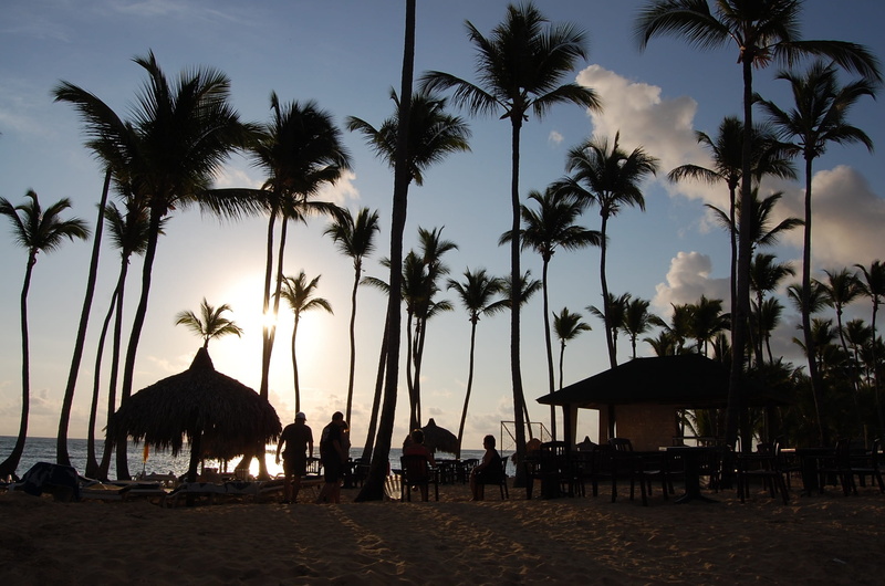 tropical tree, silhouette, beauty in nature, sea, dominican republic, plant, punta cana, horizon over water, sunset, water, palm tree, tranquil scene, cloud - sky