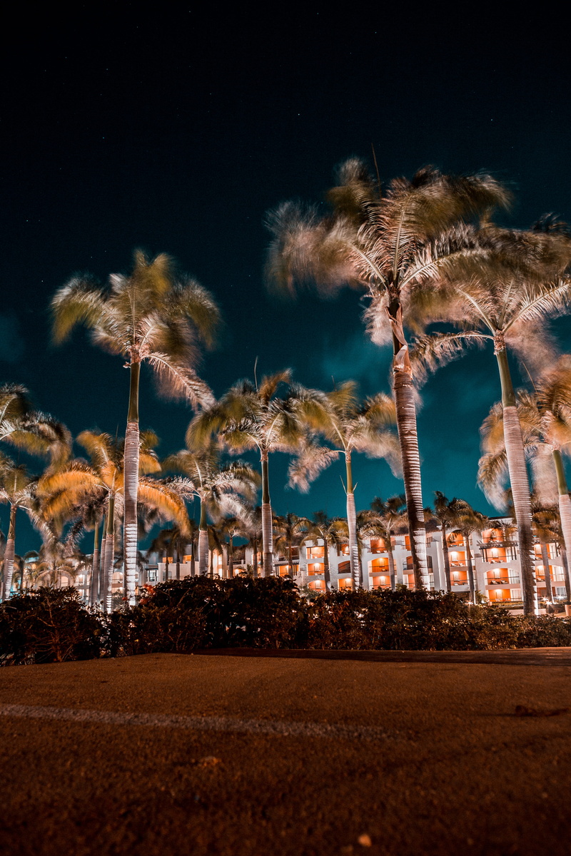 hotel, canon, tropical Climate, vacation, uSA, vacations, tourist Resort, coastline, trees, sunset, resort, star, destination, dominican republic