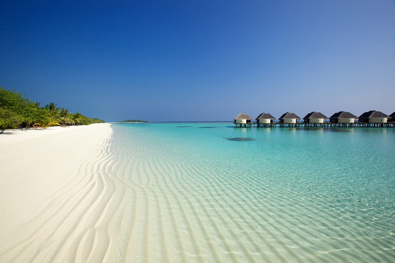 Ocean, Male, palm trees, bungalows, sand, beach, 4K, Kanuhura, Hotel