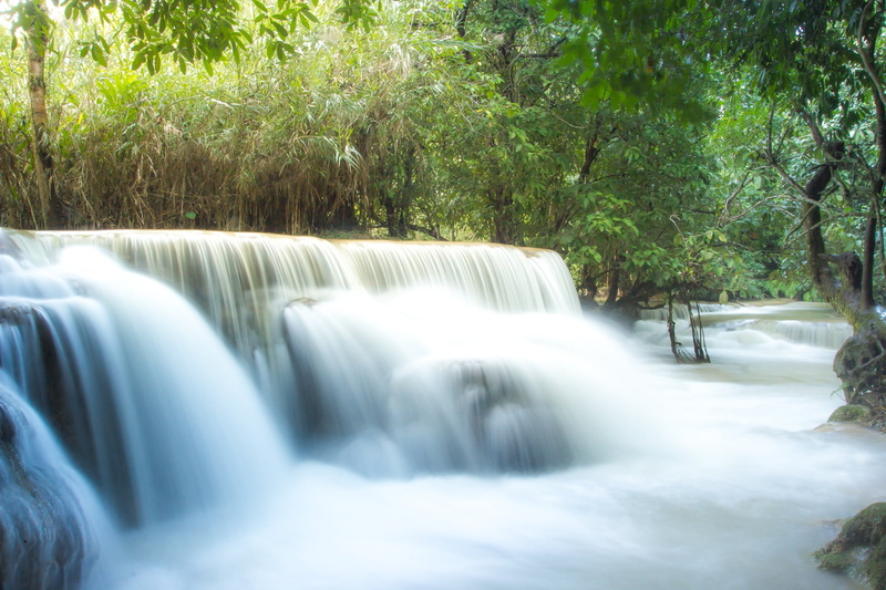 plant, waterfall, power in nature, long exposure, motion, no people, 1080P, green color, land, blurred motion, day, flowing, guangxi waterfall, forest