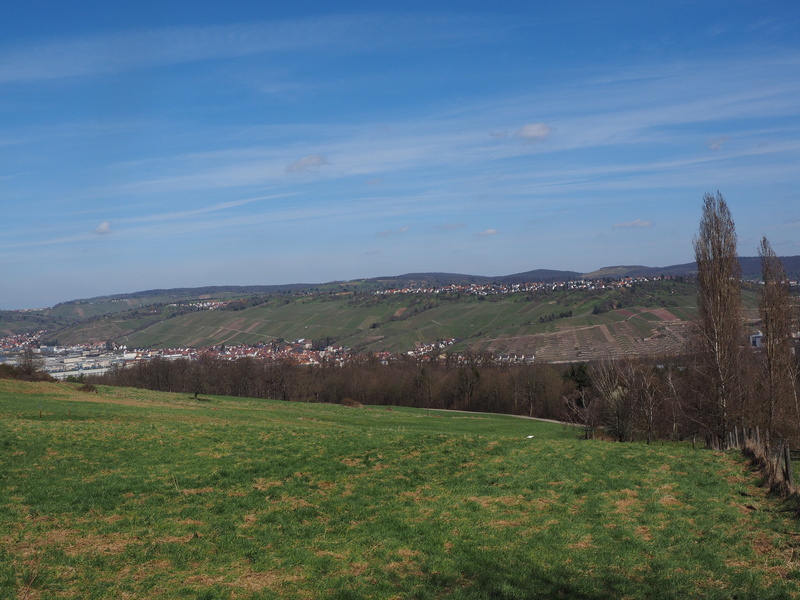 sky, environment, hill, outlook, non-urban scene, scenics - nature, tranquility, vineyards, green color, landscape, grass, reported, fields, esslingen