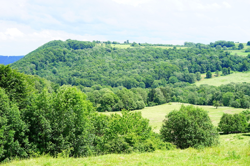 rand ecker maar, alb eaves, foliage, outdoors, no people, mountain, landscape, scenics, summer, alb edge, non-urban scene, green Color, plant, forest, meadow