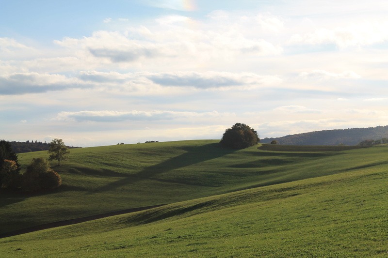 tree, clouds, nature, green color, sky, landscape, tranquility, outdoors, hill, scenics - nature, grass, non-urban scene, growth, day, field, meadow, idyllic