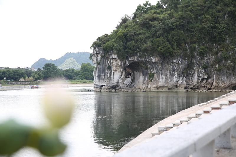 bay, no people, tranquility, scenics - nature, water, the scenery, tree, the li river, non-urban scene, waterfront, day, nature, beauty in nature, mountain