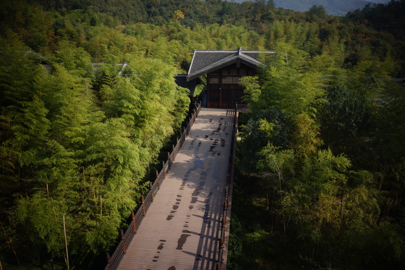 east, growth, scenics - nature, forest, 5K, beauty in nature, ancient architecture, day, nature, the banquet scene, built structure, land, building exterior