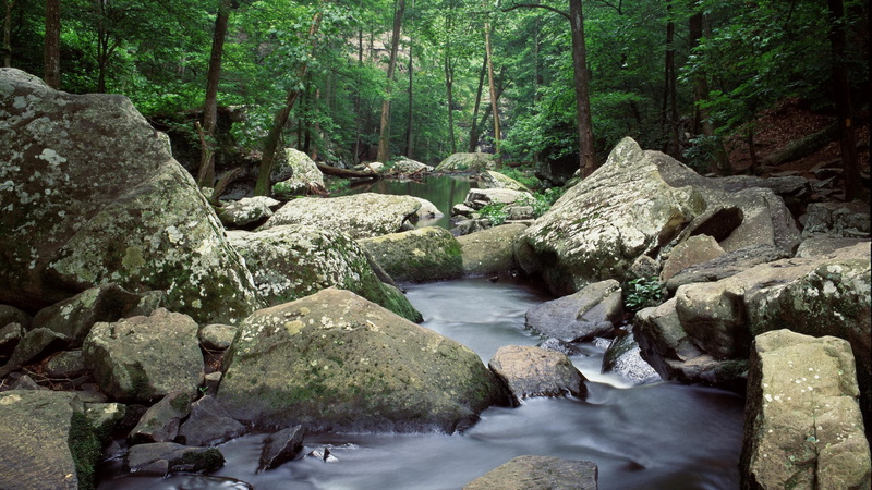 creek, lakes, arkansas, 1080P, cedar