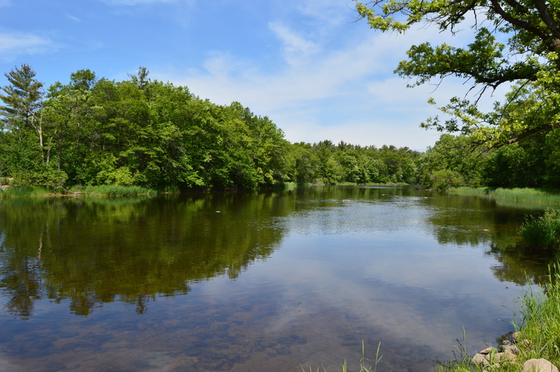 water, clear river, Red Cedar River, reflection lake, cloud - sky, reflection, green Color, tree, tranquil Scene, scenics - nature, landscape with river