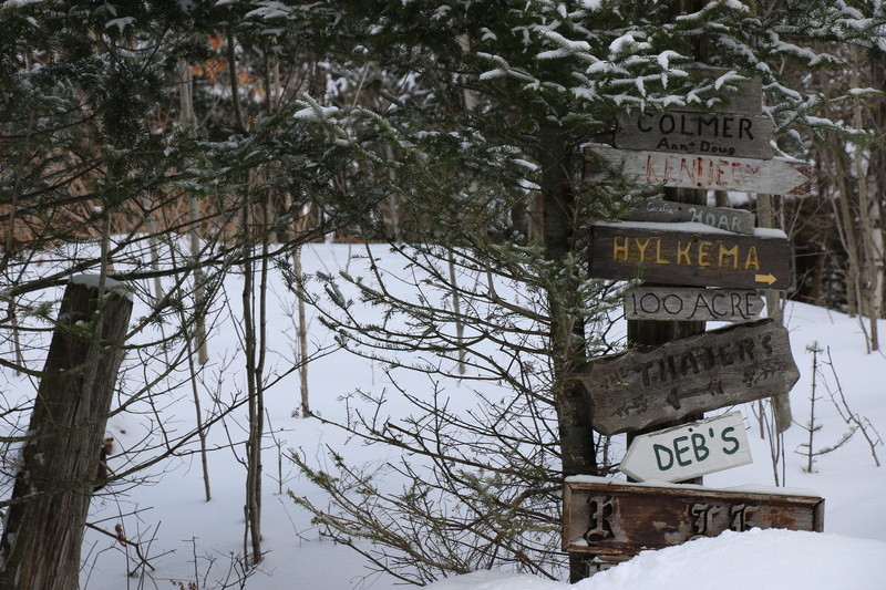 tree, 2K, snow, canada, plant, sign, forest, signs, information, branch, big cedar lake, script, non-western script, lake, outdoors, day, text, communication