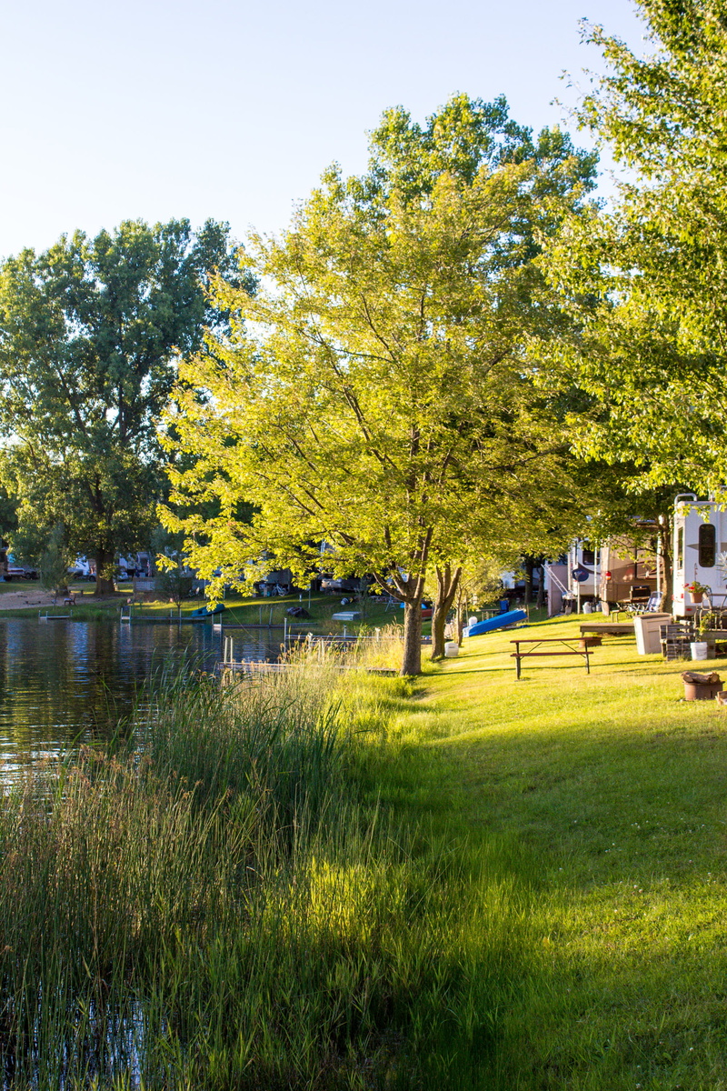 green color, pond, scenics - nature, dock, land, outdoors, nature, trailer, campground, picnic table, growth, day, sunlight, canoe, lake, plant, water
