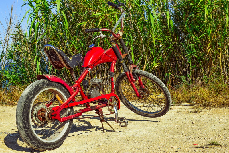 wheel, tree, nature, bicycle, land, day, plant, handmade, vehicle, growth, countryside, sunlight, no people, old, makeshift, motorbike, red, mode of transportation