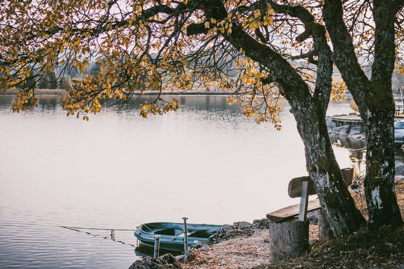 black, boat, tranquil scene, raft, branch, no people, cherry blossom, bench, 5K, near, nautical vessel, transportation, docked, inflatable, soil, tree