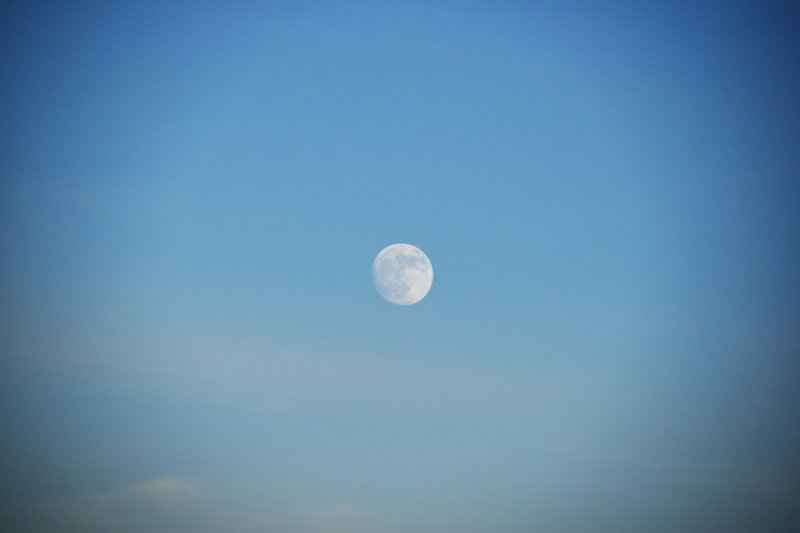 space, low angle view, tranquil scene, full, copy space, moon, 5K, planetary moon, outdoors, space exploration, star, nature, minimal, astrology