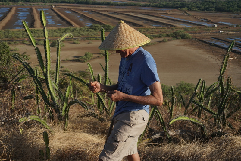 china, clothing, nature, rice, agriculture, landscape, holding, melioracja, day, south america, rural scene, farmer, hat, outdoors, real people, farm, the tradition of