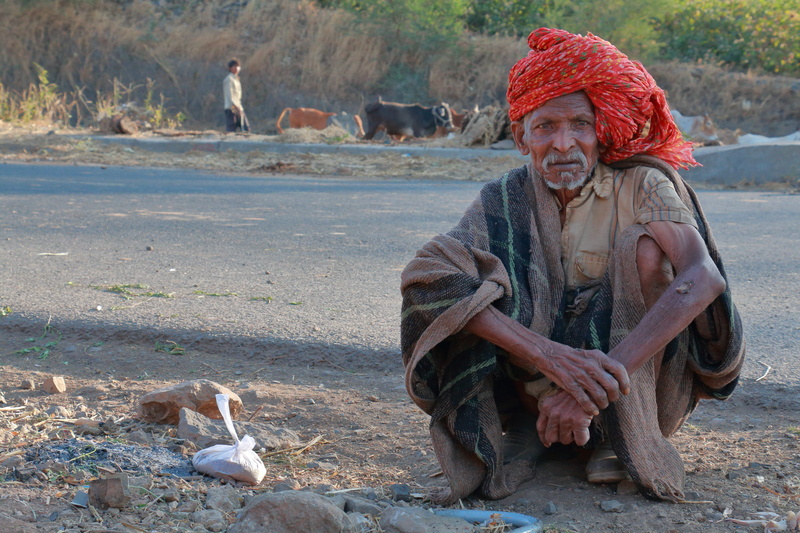 lifestyles, mammal, sitting, herder, roadside, domestic animals, social issues, one person, males, adult, madhya pradesh, nature, 5K, india, looking at camera