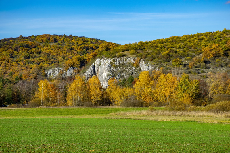 plant, aggtelek, tree, hungary, travel, sky, scenics - nature, change, green color, tranquility, outdoors, region, environment, the limestone cave entrance