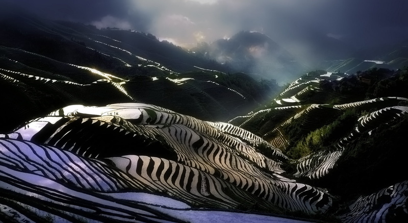 mountain, terrace, no people, agriculture, tranquility, landscape, travel, scenics - nature, terraced field, non-urban scene, land, winter, mountain range