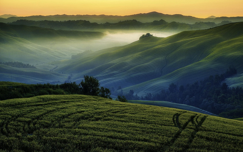 grass, environment, green, fog, growth, field, land, tranquility, beauty in nature, outdoors, tea crop, idyllic, sky, 1080P, valley, nature, mountains