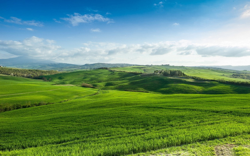 field, lands, growth, green color, agriculture, non-urban scene, land, scenics - nature, sky, beautiful, green, plantation, tranquility, tea crop