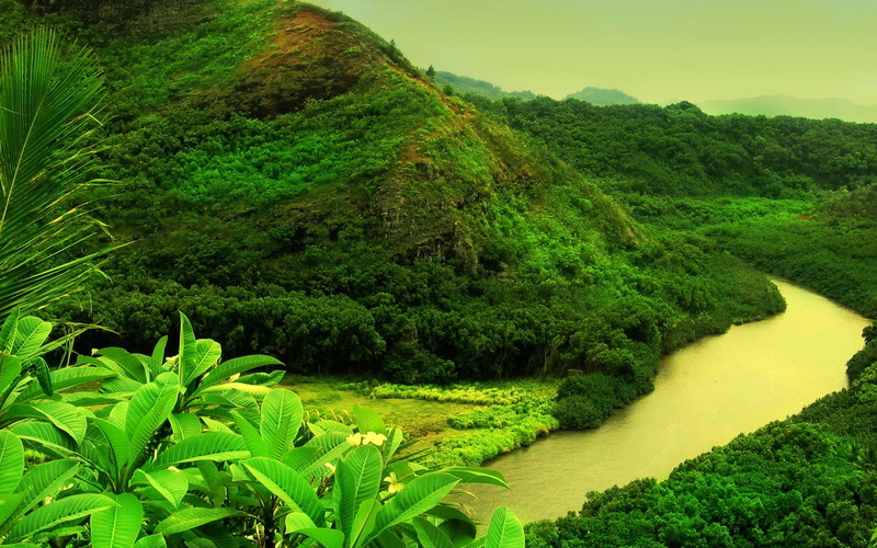 scenics, thailand, asia, 1080P, kerala, landscaped, no people, rural Scene, river, green, plant, outdoors, environmental Conservation, tree, foliage, hill