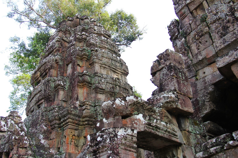 plant, place of worship, beautiful, siem reap, sky, architecture, travel, tourist, ruined, archaeology, day, asia, heritage, cambodia, unesco, tree, no people