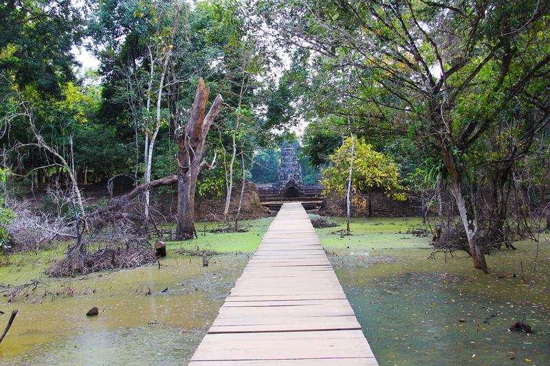 beauty in nature, ruin, tourism, angkor wat, nature, plant, Temple, angkor, the way forward, no people, scenics - nature, siem reap, tourist, Travel, ancient